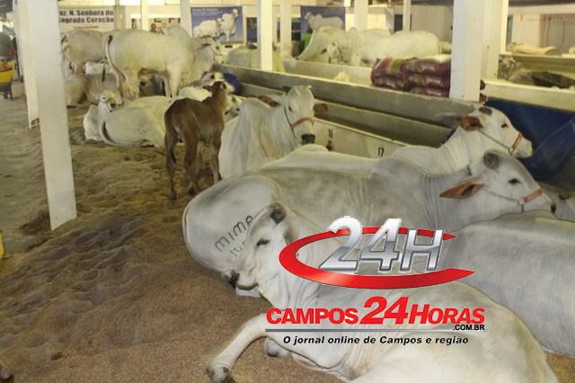 Expo Quissamã 5