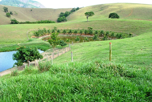 Rio Preto