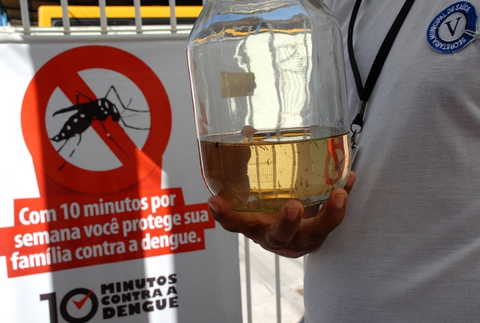 dengue quissamã