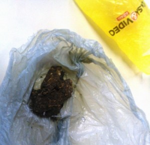 maconha 1712