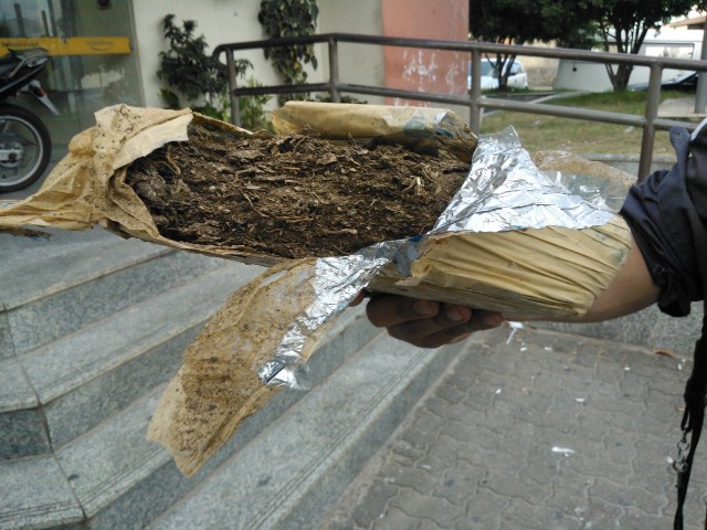 maconha 0901