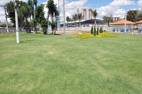 Parque Alberto Sampaio