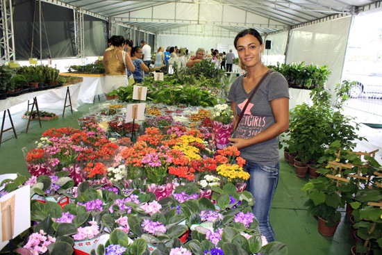 feira holambra