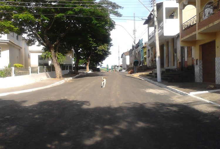mutirão Vila nova