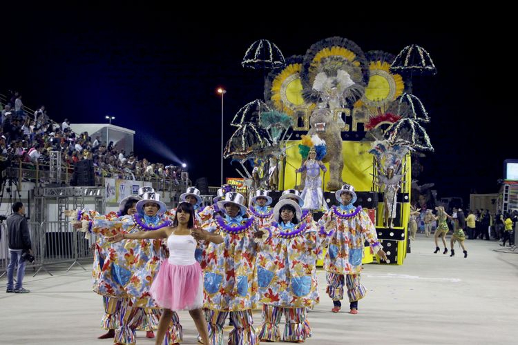 onça no samba