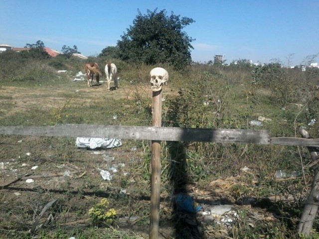 altAh32rflmElG8OB8gVvBfmmsX6rKZv12vKDoLo7xgL7y5