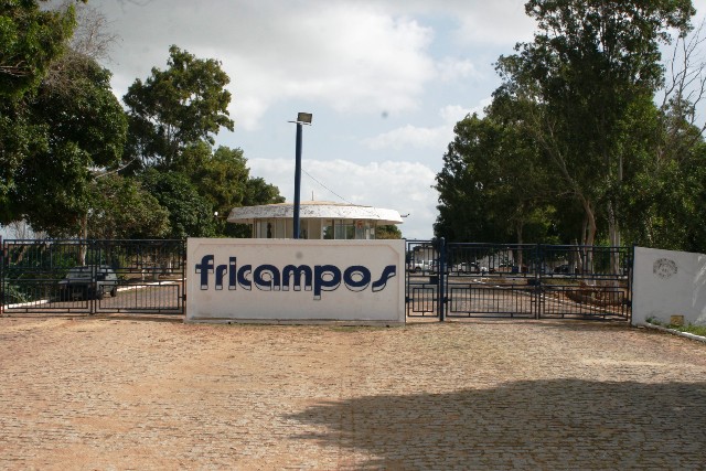 fricampos 2