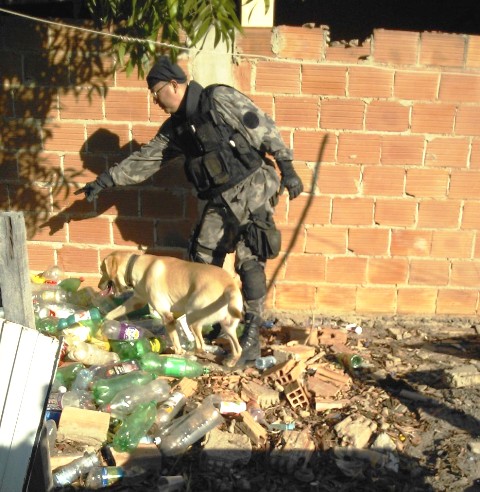 operação 2307 5