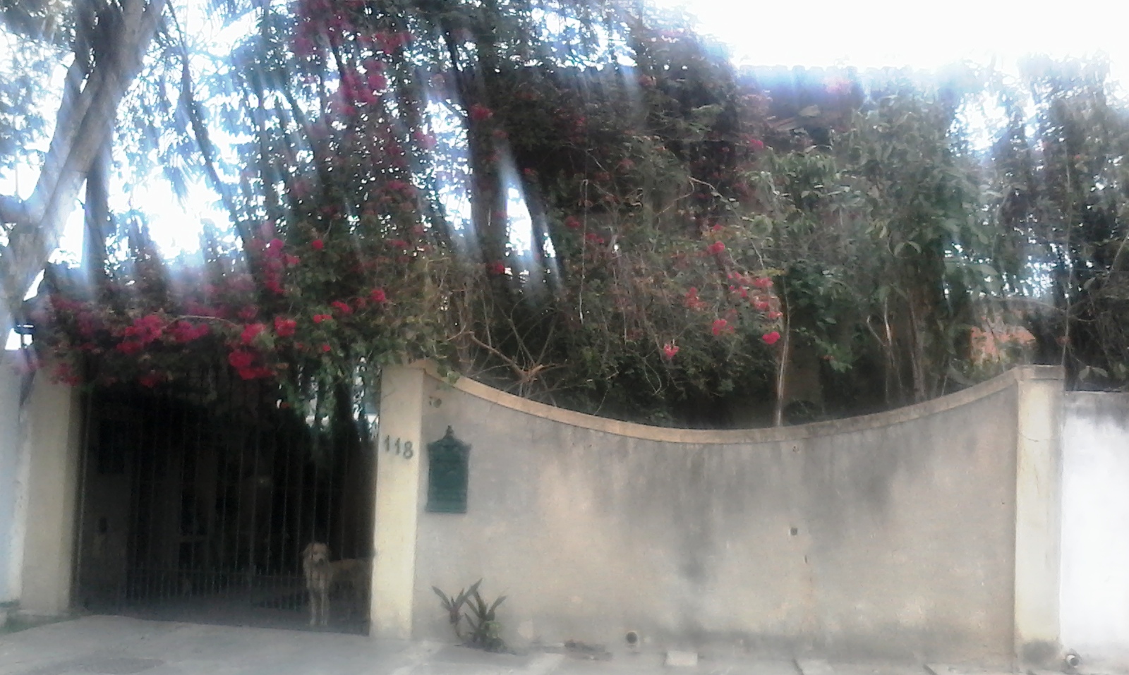 casa assalto 0908 5