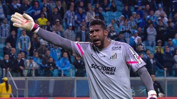 goleiro aranha