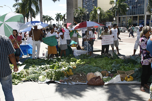 Manifestação Movimento Sem terra Contagem  (51)