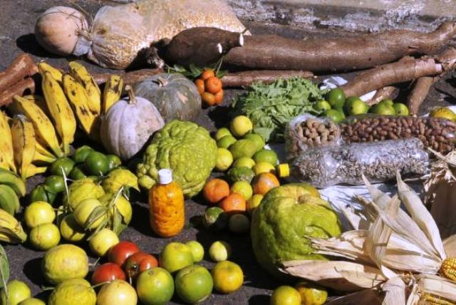 alimentos