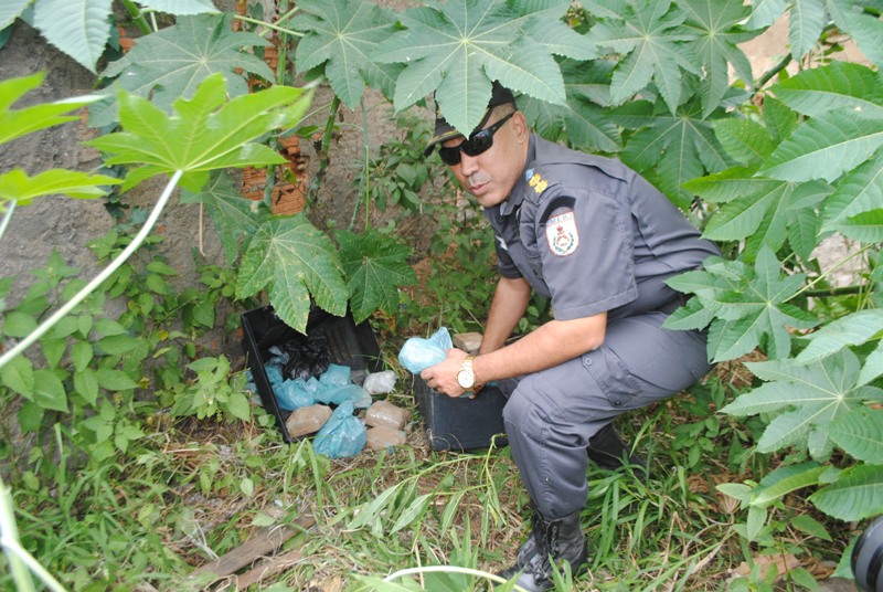 drogas 2509