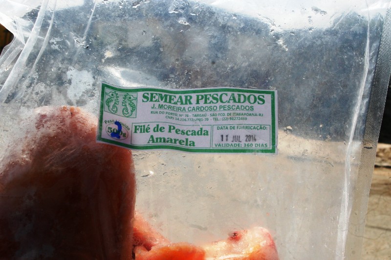 peixe 0209 2