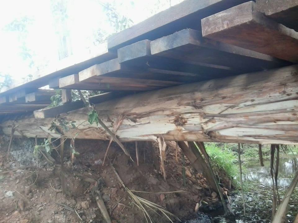 ponte 5