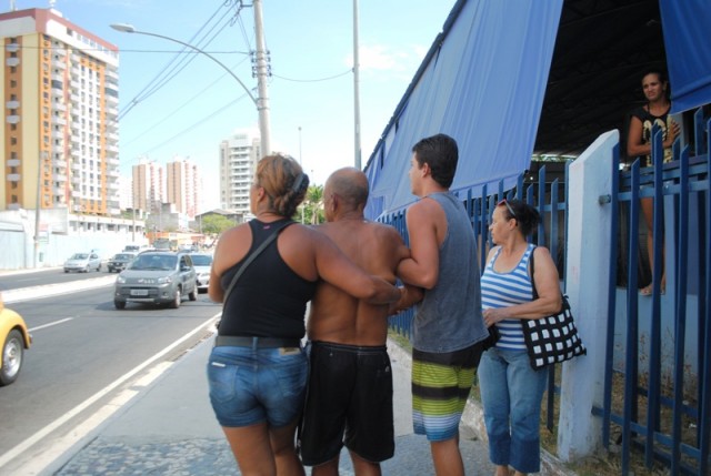 abelhas 6