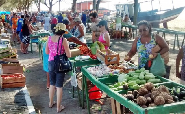 feira 1