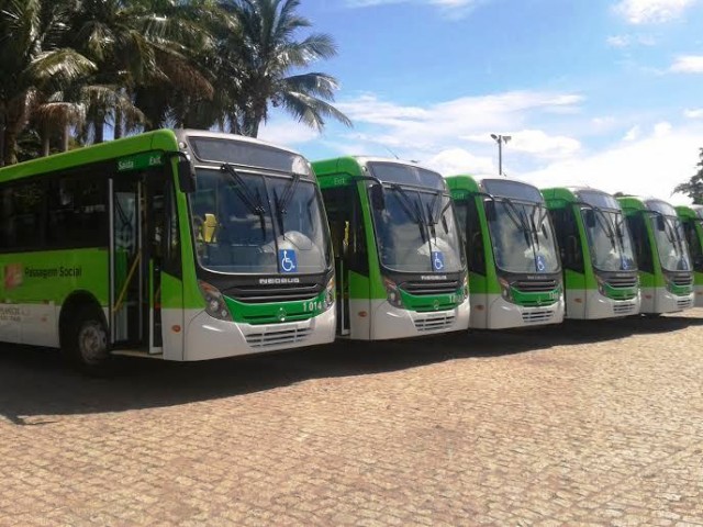 ônibus novos 1