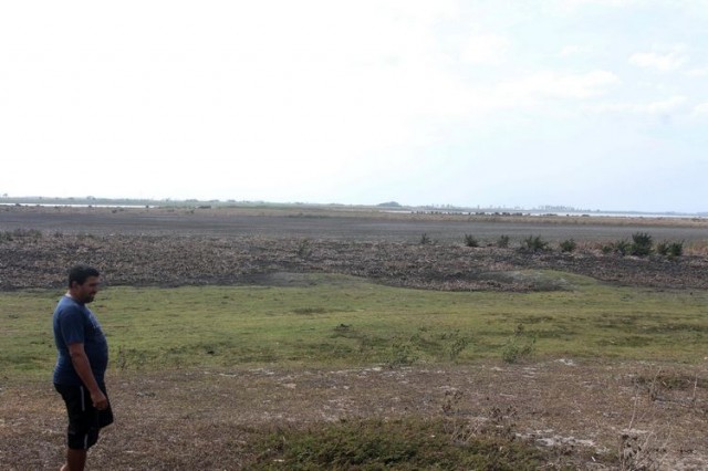 photos (1)