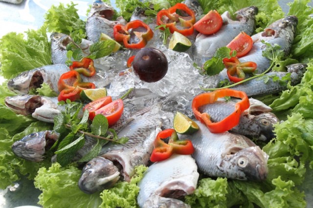 peixe 1