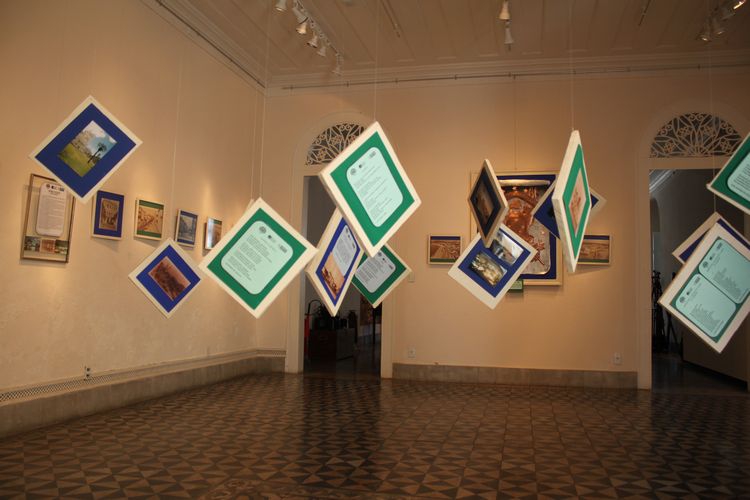 photos