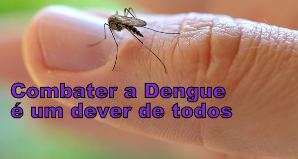 Dengue 2015