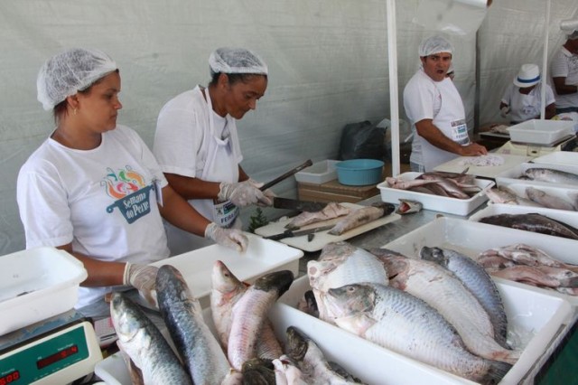 peixe 2
