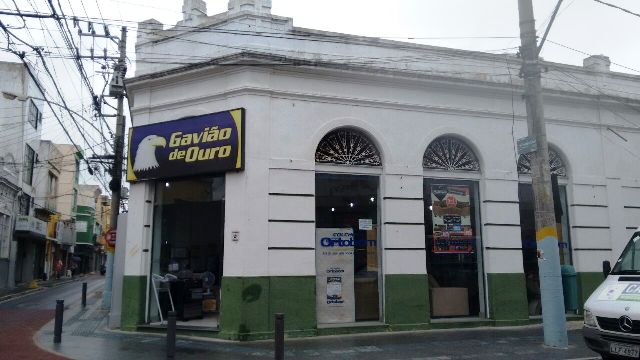 gavião1