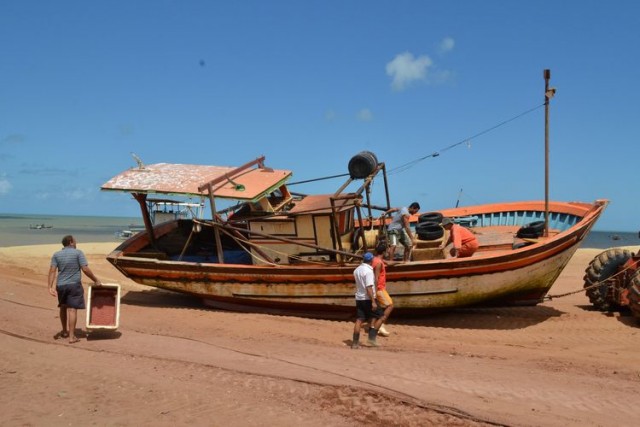 pescador 29 5 1
