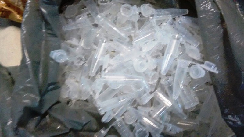 pinos