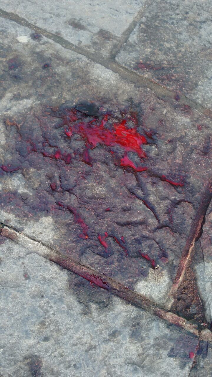 sangue mpf