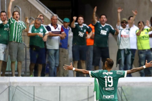 palmeiras