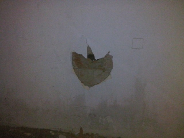 AjhOCd8GEPkE5VLOvXTYGKYUX3NW_2NHngAyXXcNzKpx