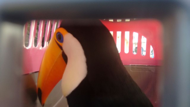 AsW0gIwWApguns7Ab57CcUHTnoM9rOF8VU8H_0flIRRz
