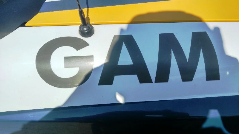 GAM