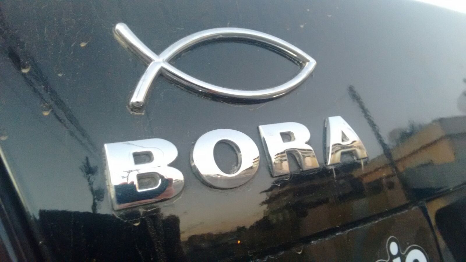 carro204