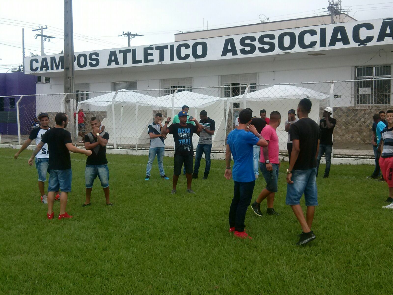 roxinho