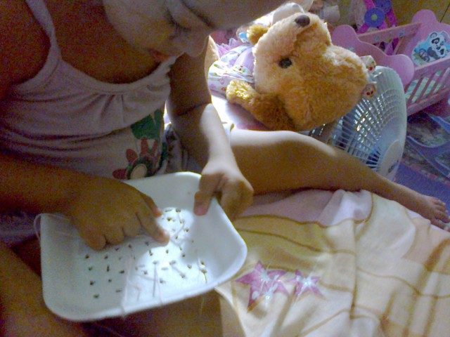 Foto0007
