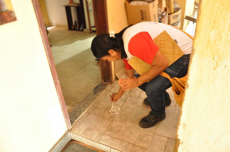 combate a dengue