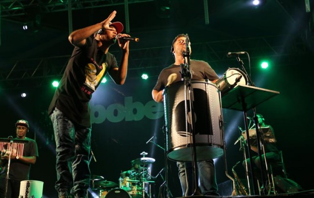 dibobeira1
