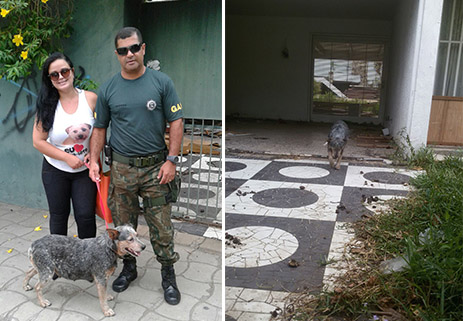 Sem Título-1