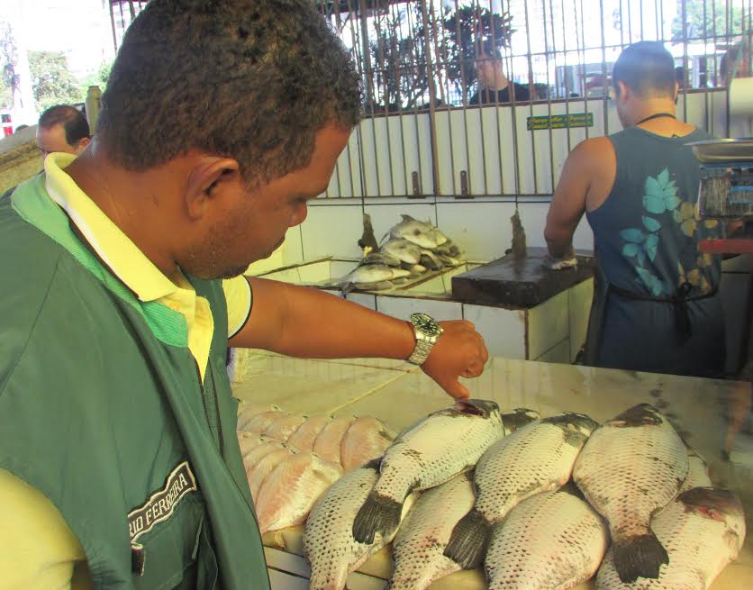 peixe211