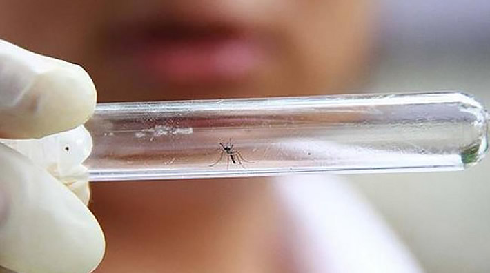 zika_virus