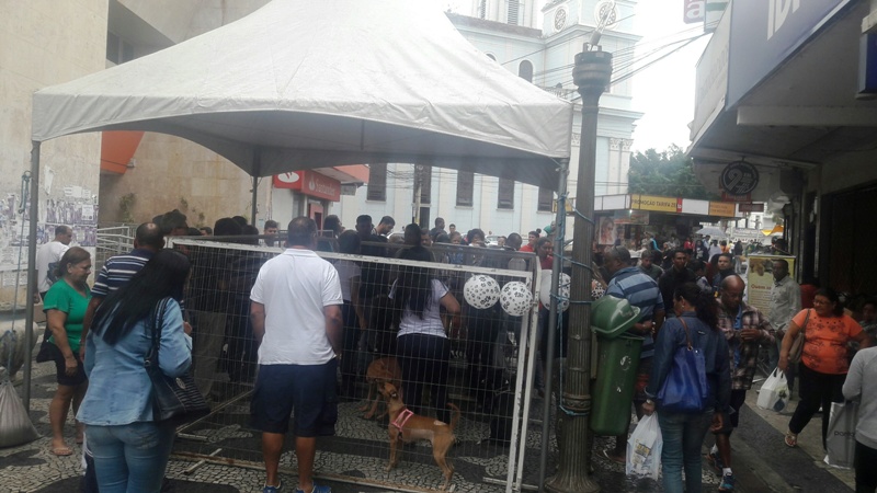 feira animais 1
