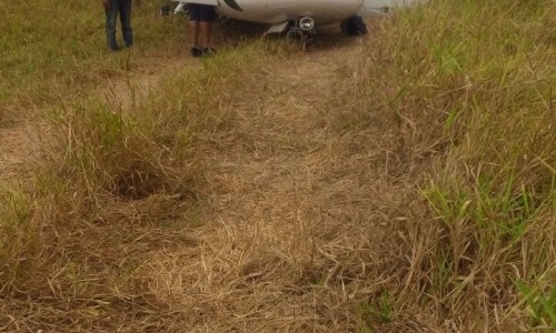 heli282