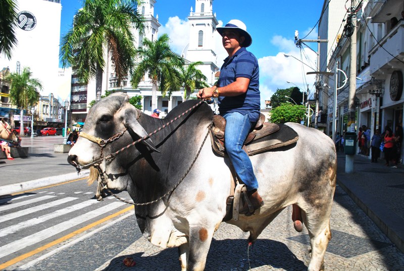 cavalgada 3