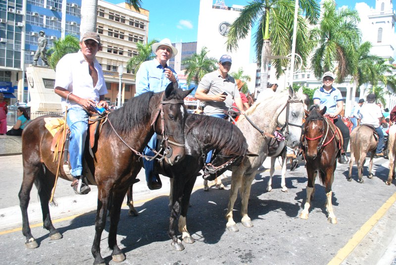 cavalgada 6