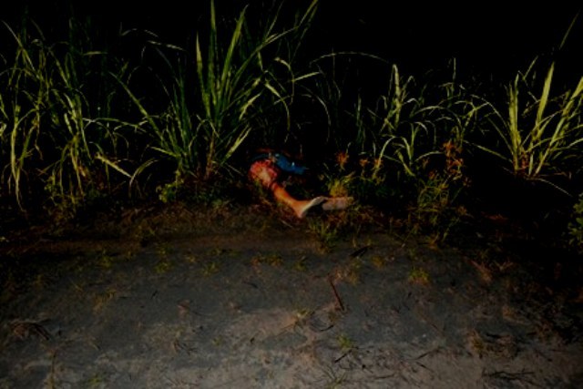 morte canavial 2