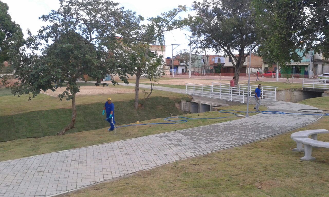 Rosinha lagoa 4