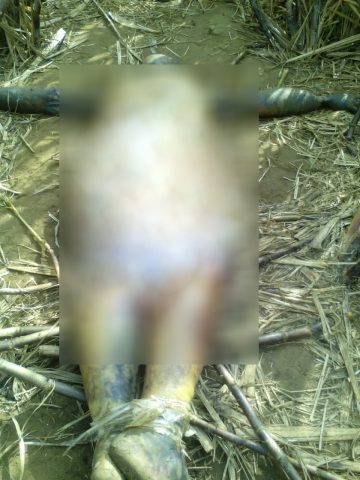 crime-0808-2-360x480